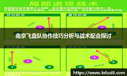 南京飞盘队协作技巧分析与战术配合探讨