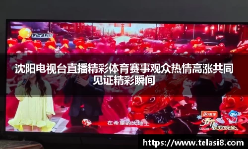 沈阳电视台直播精彩体育赛事观众热情高涨共同见证精彩瞬间