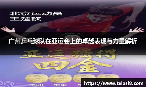 bsports登录入口