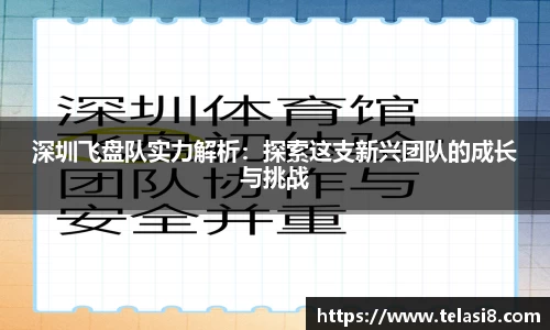 深圳飞盘队实力解析：探索这支新兴团队的成长与挑战