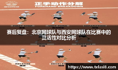 bsports登录入口
