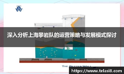 深入分析上海攀岩队的运营策略与发展模式探讨