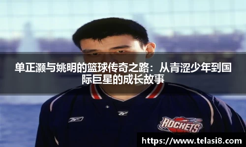 bsports官网入口