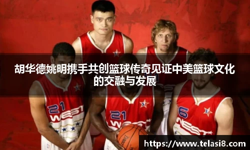 bsports登录入口