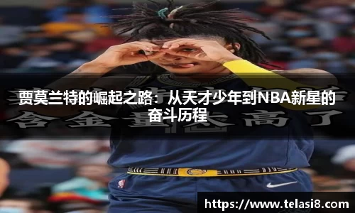 bsports官网入口