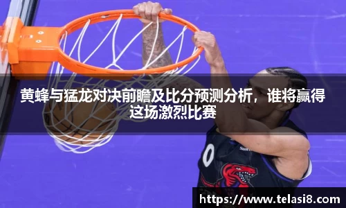 黄蜂与猛龙对决前瞻及比分预测分析，谁将赢得这场激烈比赛