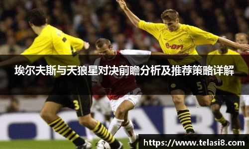埃尔夫斯与天狼星对决前瞻分析及推荐策略详解