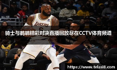 bsports登录入口