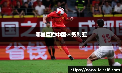 bsports官网入口