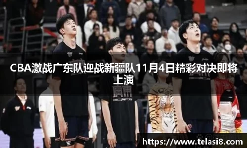 bsports登录入口