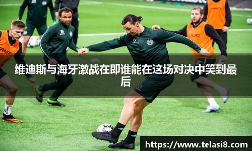 维迪斯与海牙激战在即谁能在这场对决中笑到最后