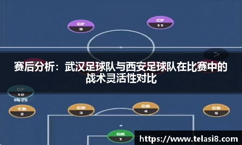 bsports官网入口