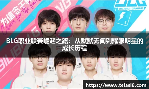 bsports登录入口