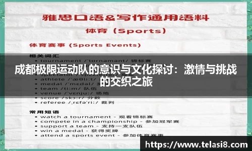 bsports官网入口